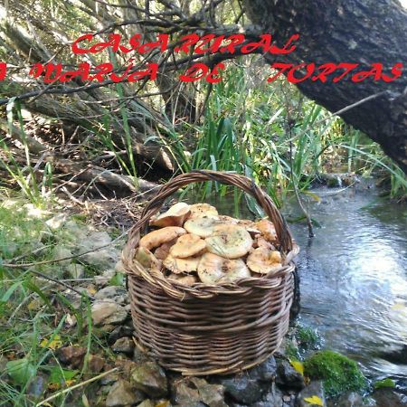 La Maria De Tortas Guest House Paterna del Madera Bagian luar foto
